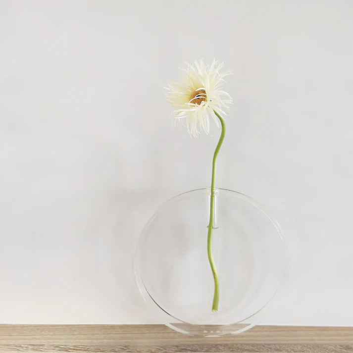 Transparent Test Tube Vase