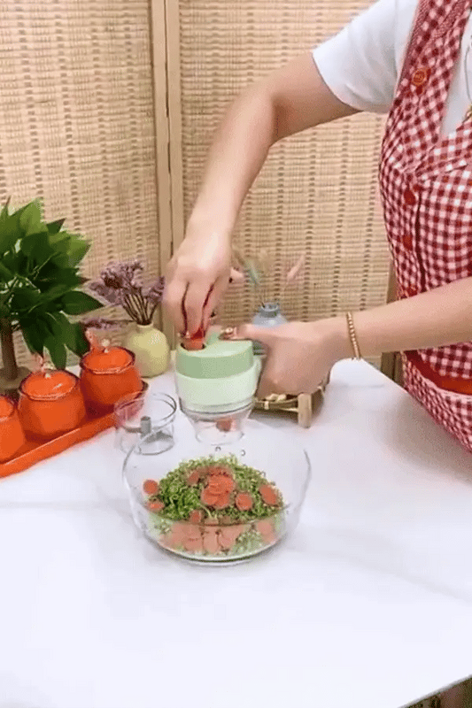 Handheld Electric Vegetable Cutter